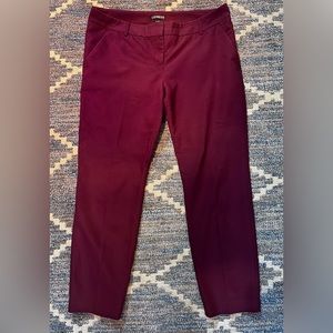 Express Size 10 R Columnist Pant